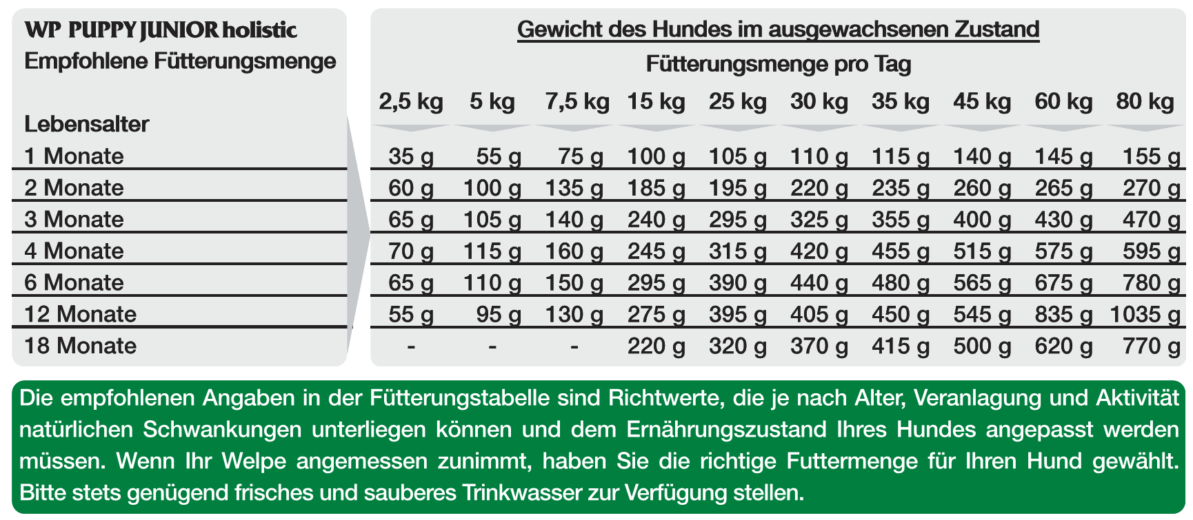 WP Holistic Salmon und Potato 12kg