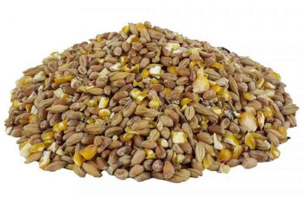 Emma's Hühnerkörnermischung - Hendltraum Extra 20kg – Bild 2