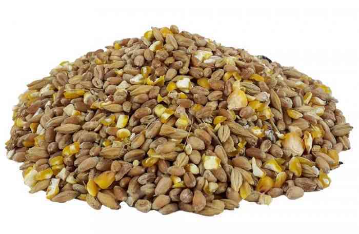 Emma’s Hühnerkörnermischung – Hendltraum Extra 20kg