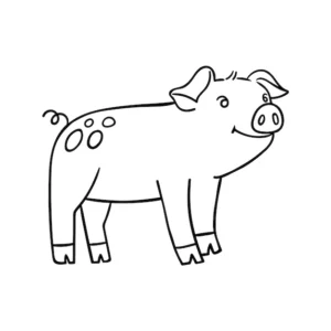 Schwein